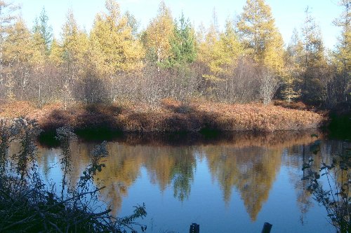 Autumn in the U.P. has its own special beauty. This late October scene is from an area where pike move through a culvert every spring to spawn in the shelter of the marshland.
